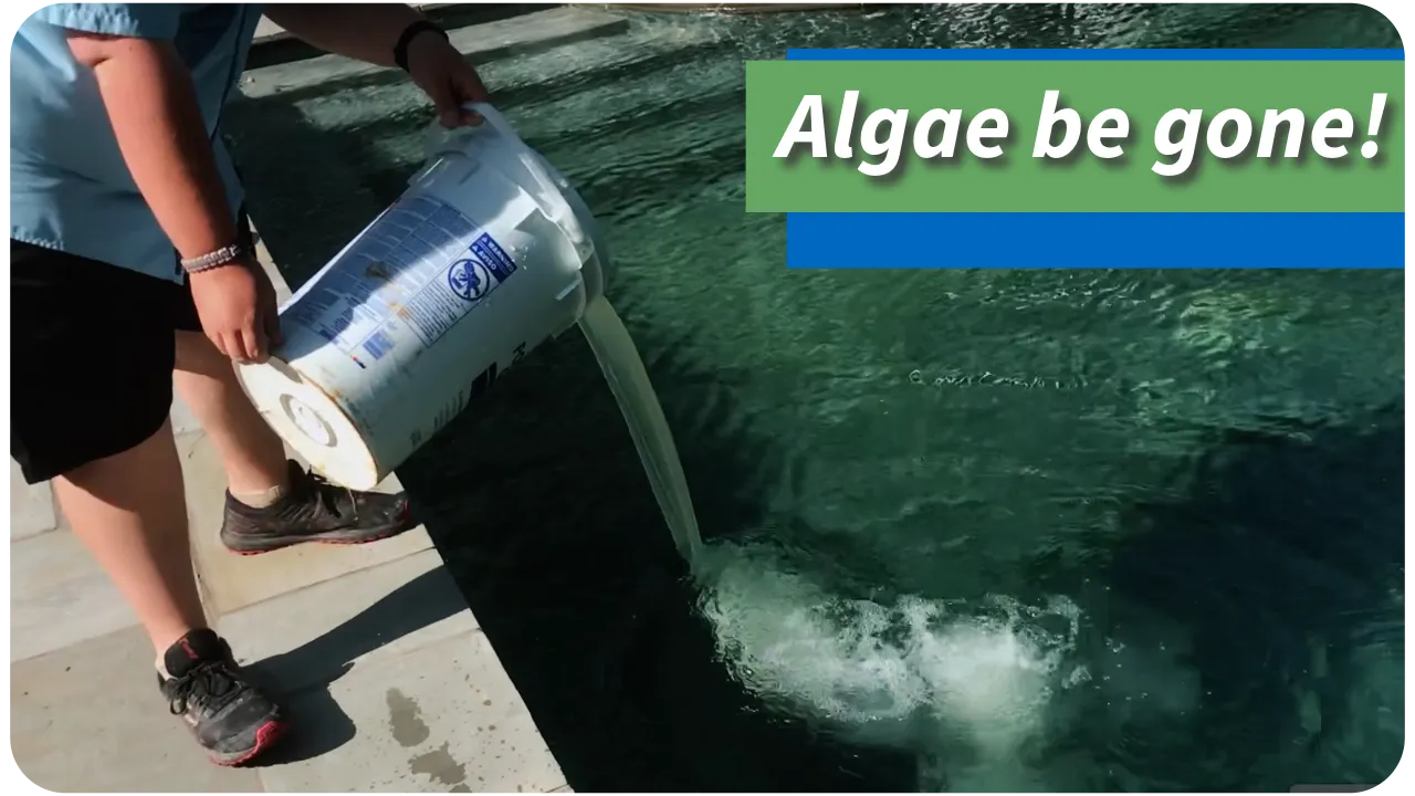 Yellow Algae Bromine Treatment